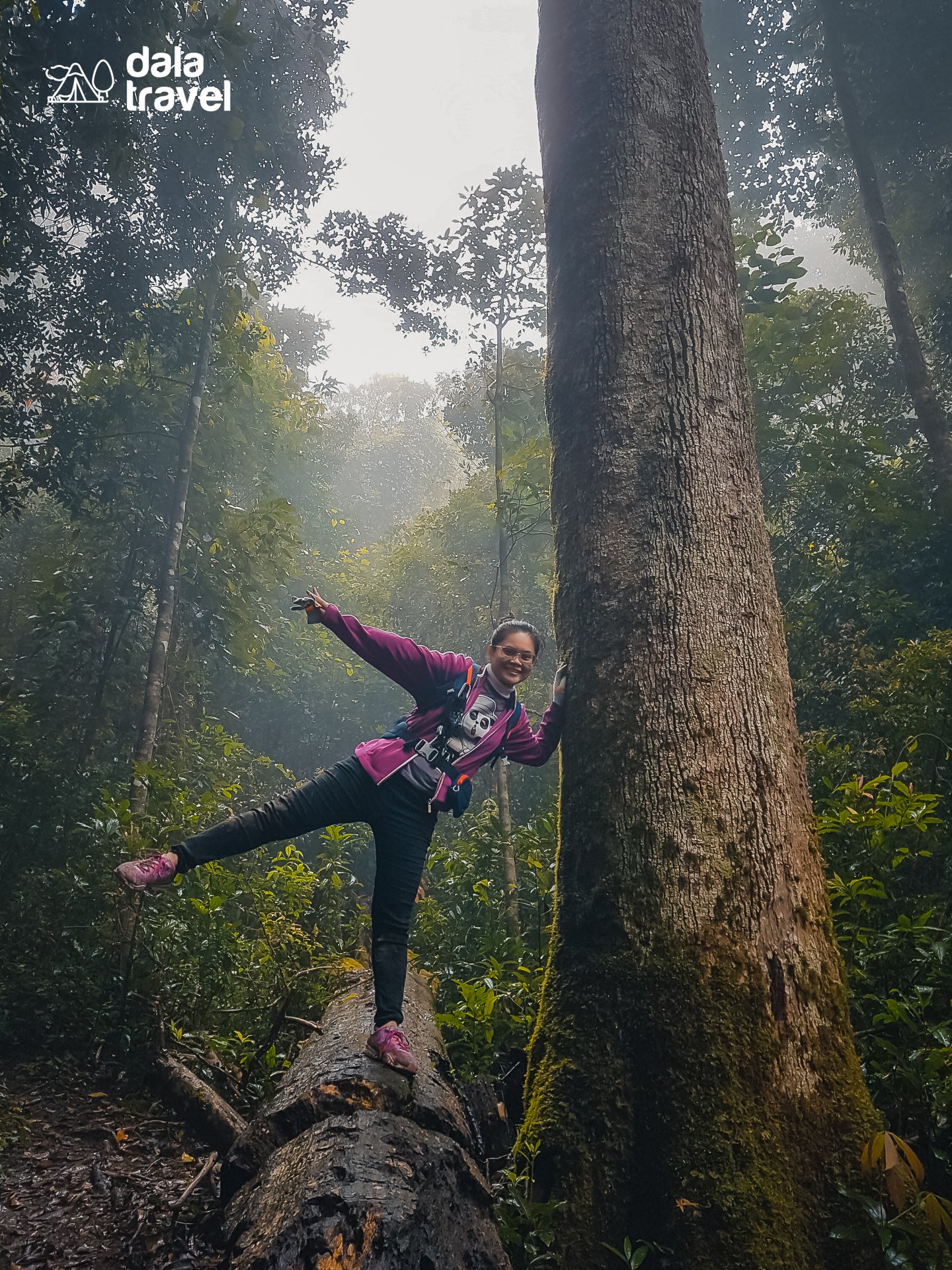 11Dala Travel với sứ mệnh phát triển du lịch bền vững