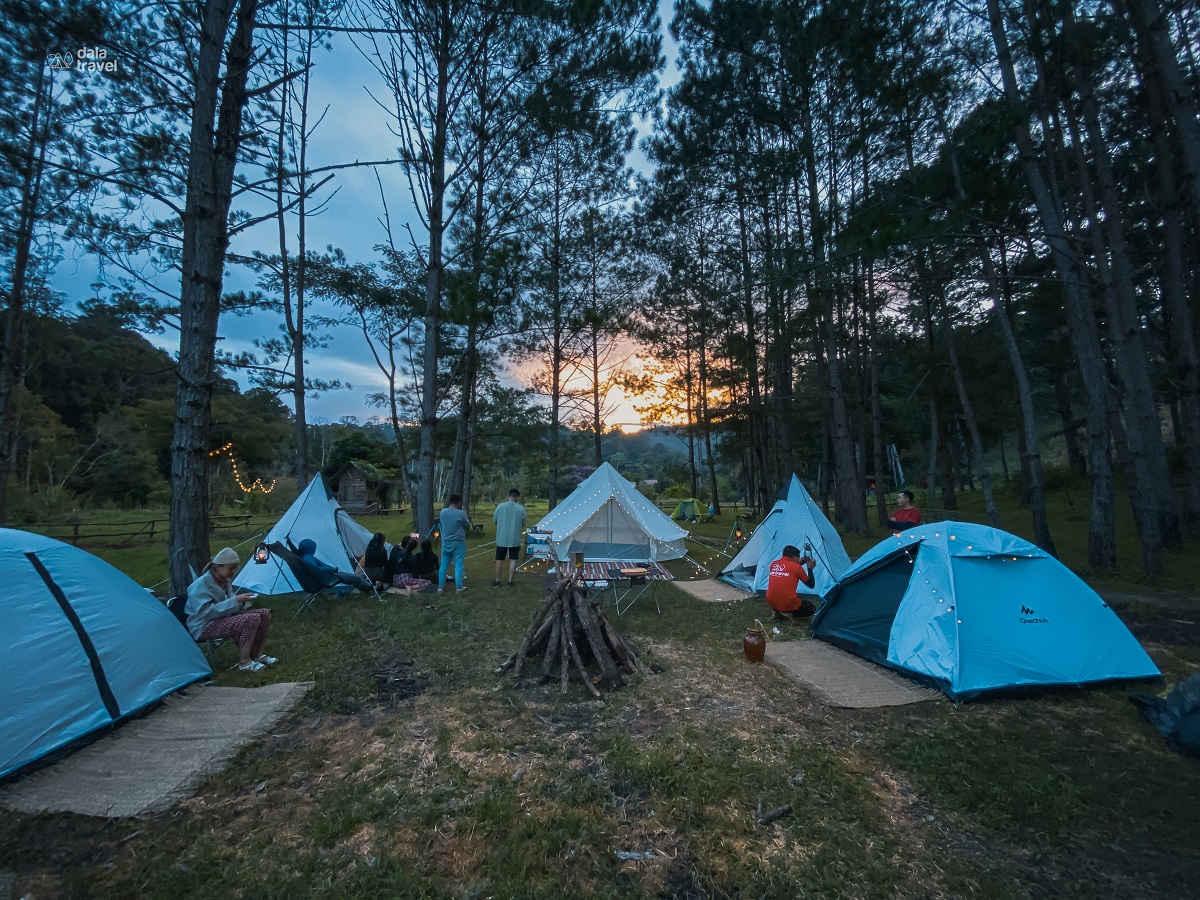 tour-camping-tai-da-lat 11Hình ảnh trong 1 tour trải nghiệm tại Đà Lạt của Dala Travel