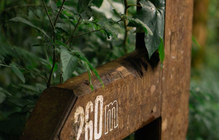 11Trekking Langbiang Đà Lạt